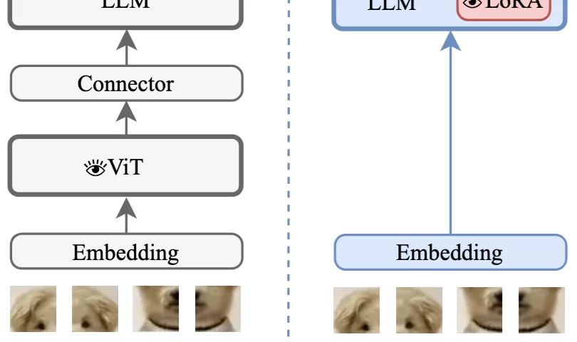 VoRA: How ByteDance Makes LLMs See Without a Vision Encoder